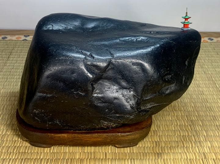 【特別普及企画】ニホンシンギョク 認証コード:ijs00002231