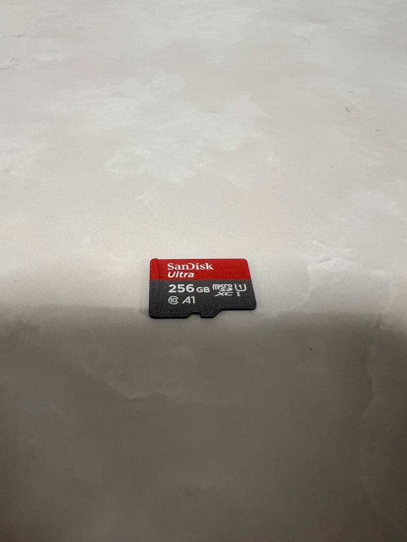 Nintendo Switch Lite コーラル マイクロSD 256GB付き