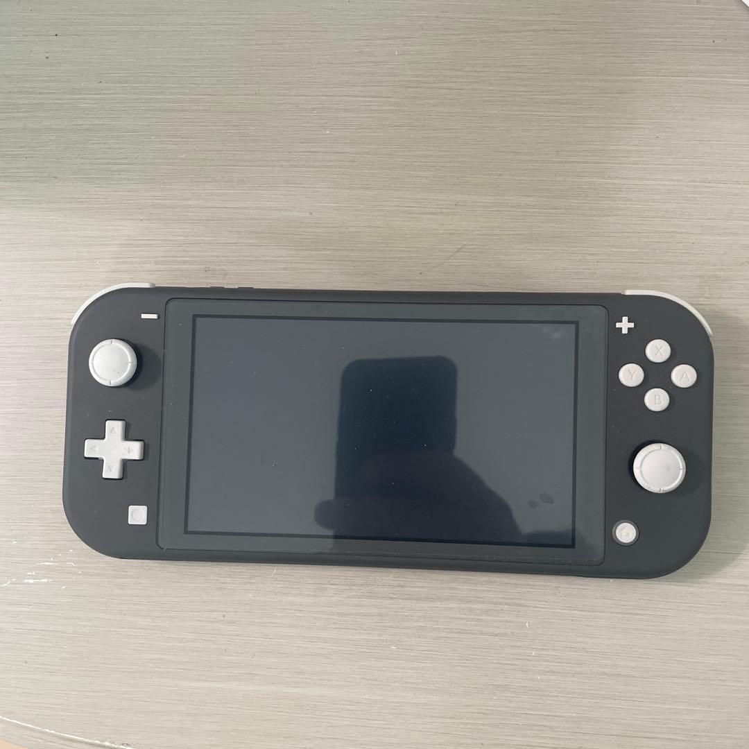 Nintendo Switch Lite グレー 本体　ソフト付