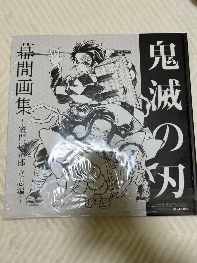 鬼滅の刃 幕間画集～竈門炭治郎 立志編～