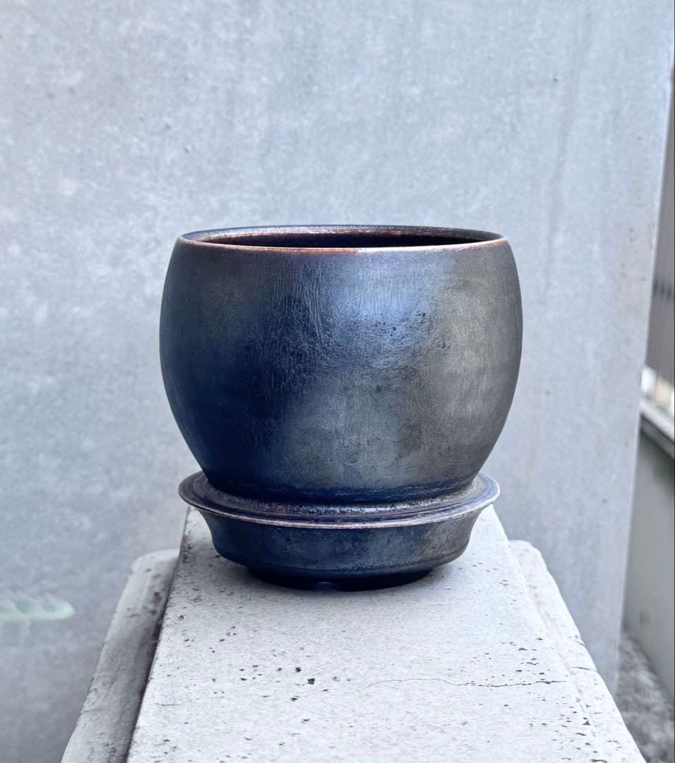 RAW LIFE FACTORY/地蔵/SEEWEED