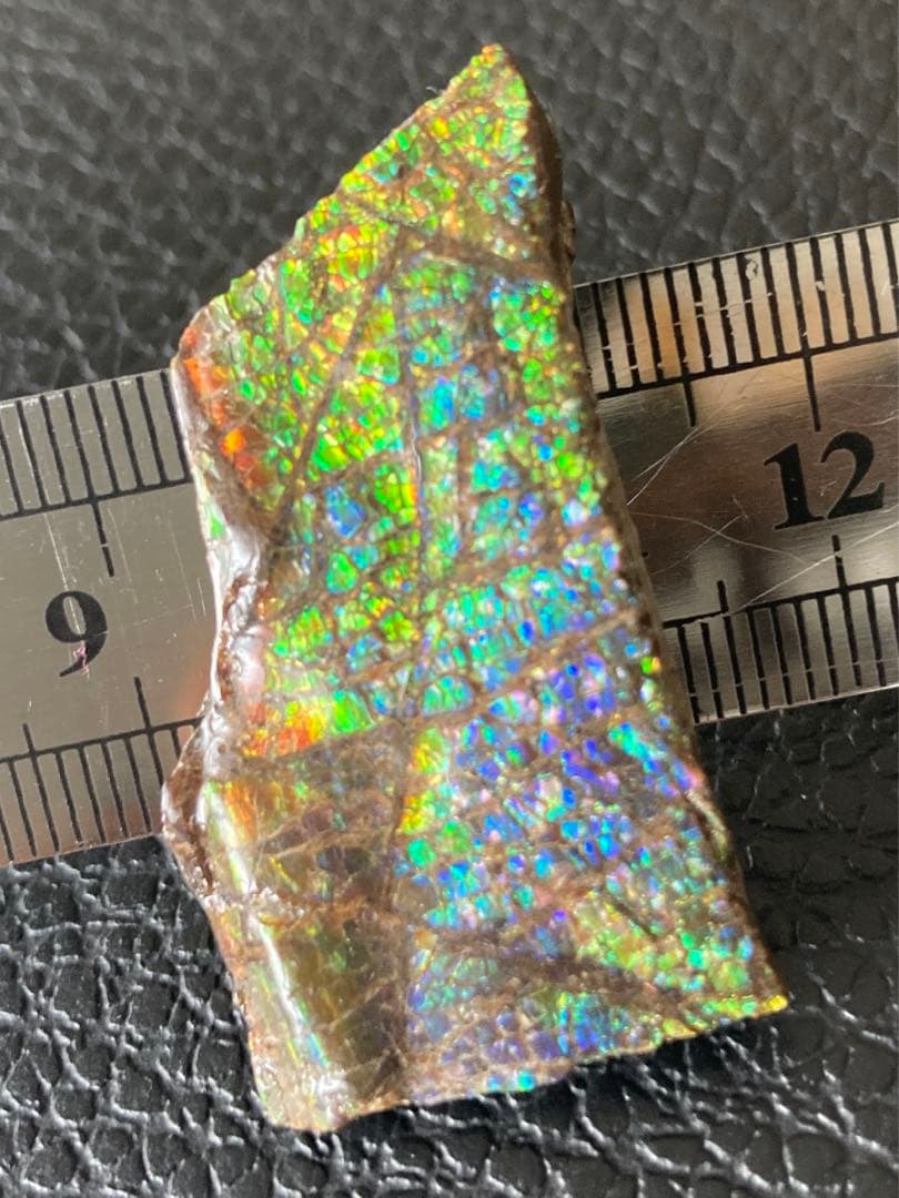 アンモライト　両面　化石　天然石 ルース