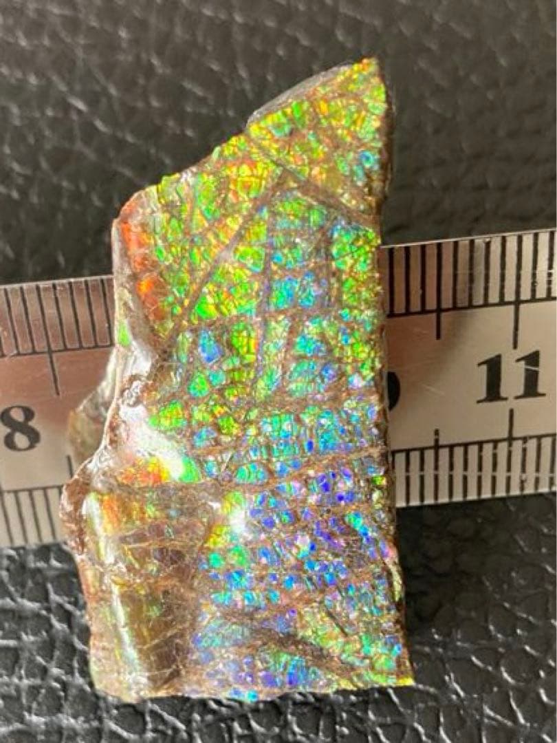 アンモライト　両面　化石　天然石 ルース