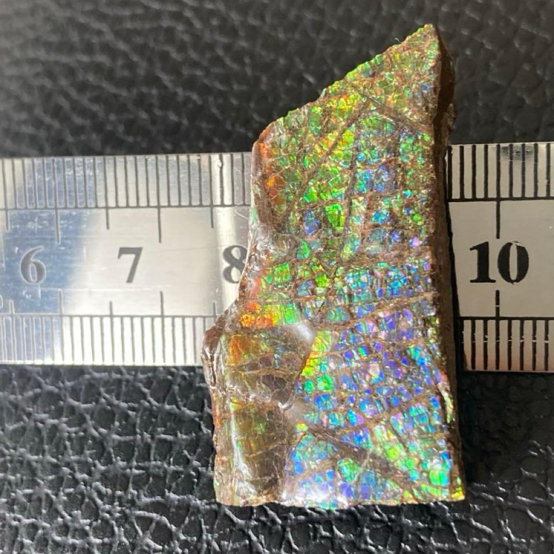 アンモライト　両面　化石　天然石 ルース