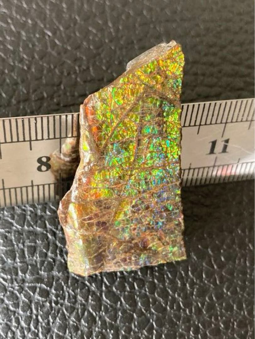 アンモライト　両面　化石　天然石 ルース