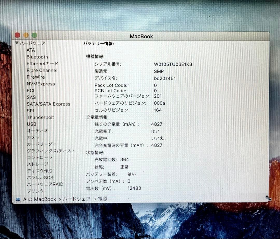 動作良好/MacBook 13inch Mid2010 Core 2 Duo