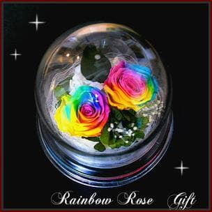 プリザーブドフラワーレインボーローズドーム