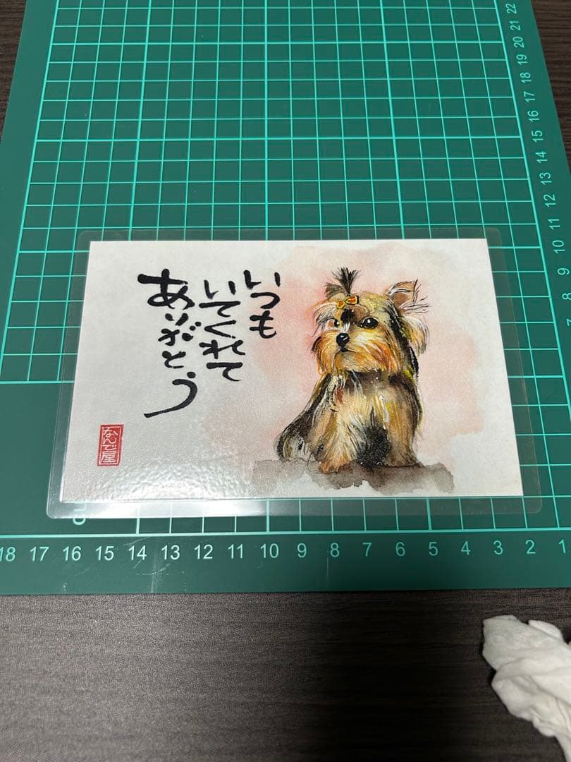 ヨークシャテリアグッズセット