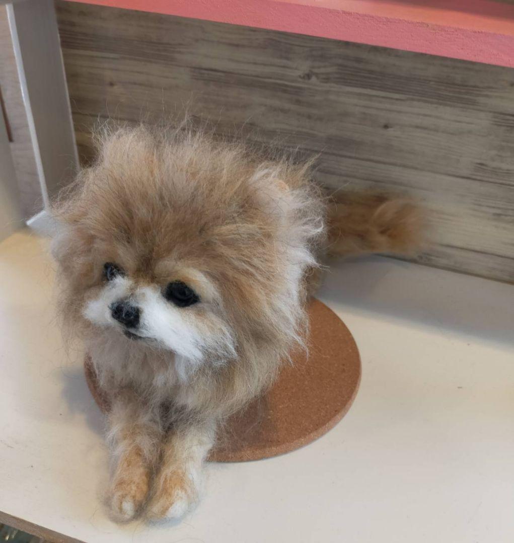 羊毛フェルト　ハンドメイド　かずぽっち