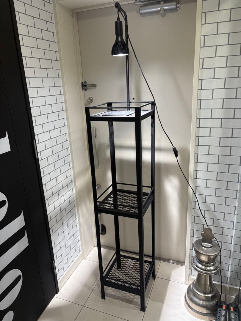 ライトスタンド付　植物棚　アイアン棚　アイアンシェルフ　アガベ　チタノタ