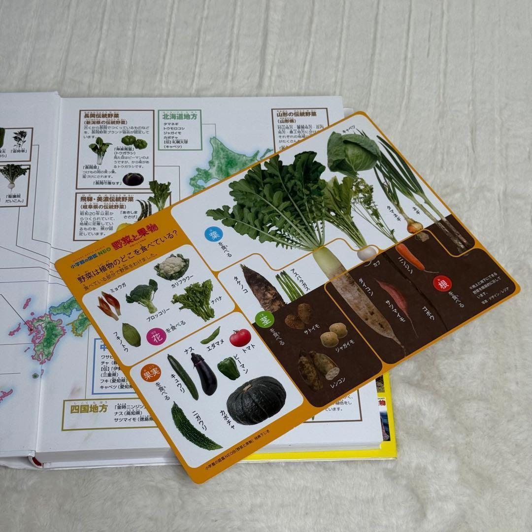 【良品・カバーあり】小学館の図鑑NEO 全巻20冊セット （良品・付録つき多数）