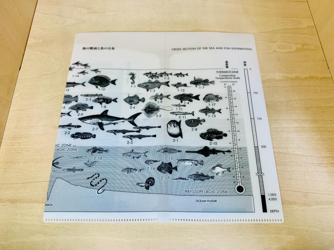サカナクション「魚図鑑」プレミアム BOX 3CD+魚大図鑑 +特典