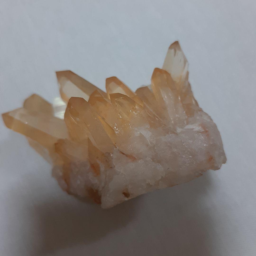 ゴールデンヒーラー