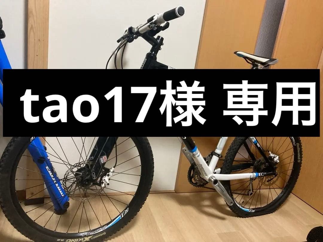 tao17 　BMC teamelite TE03