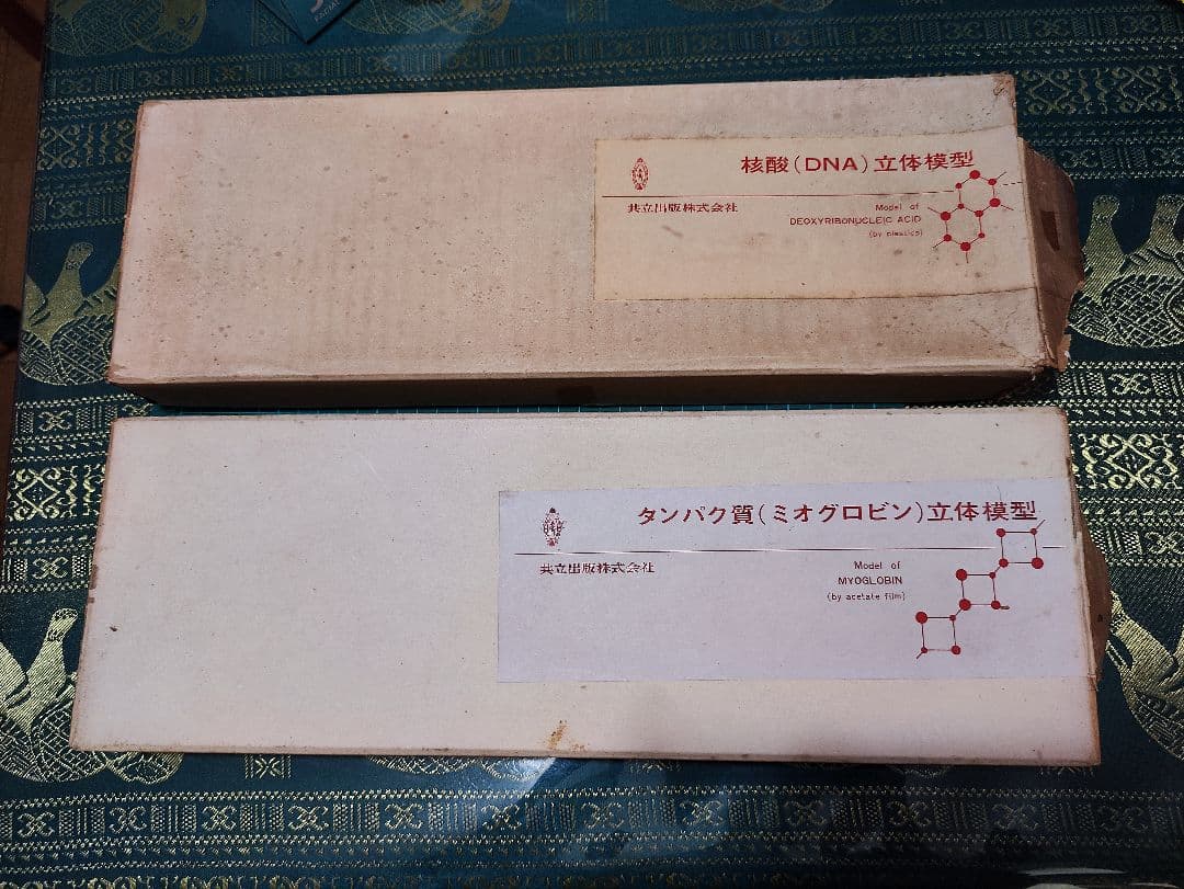 DNA立体模型 オミグロビン立体模型 共立出版