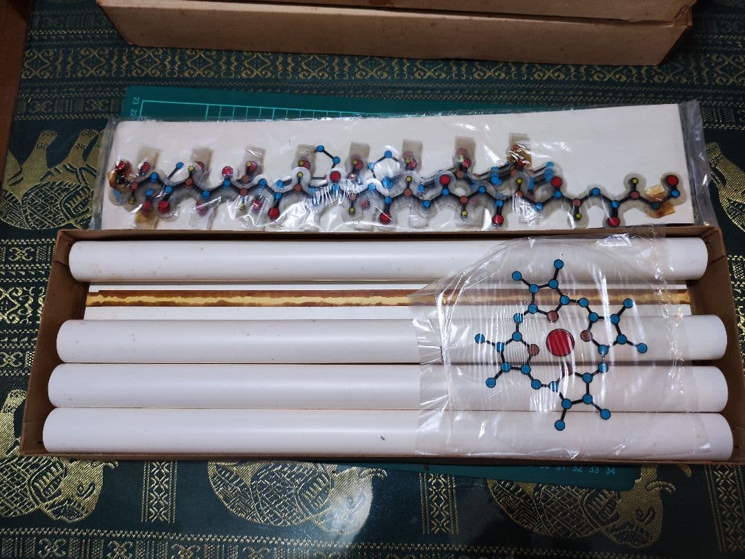 DNA立体模型 オミグロビン立体模型 共立出版