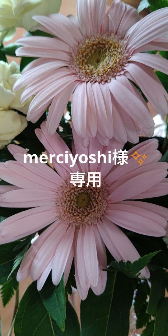 merciyoshi様✨ 専用