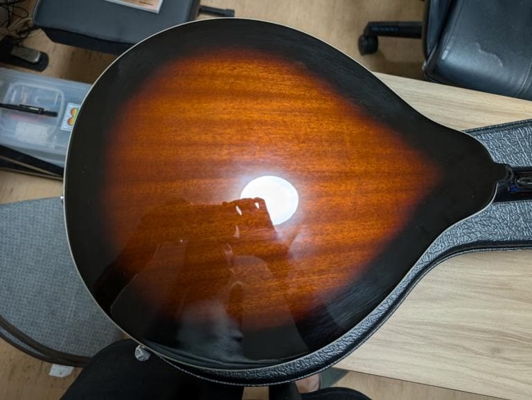 Aria フラットマンドリン AM-20 ハードケース付 美品