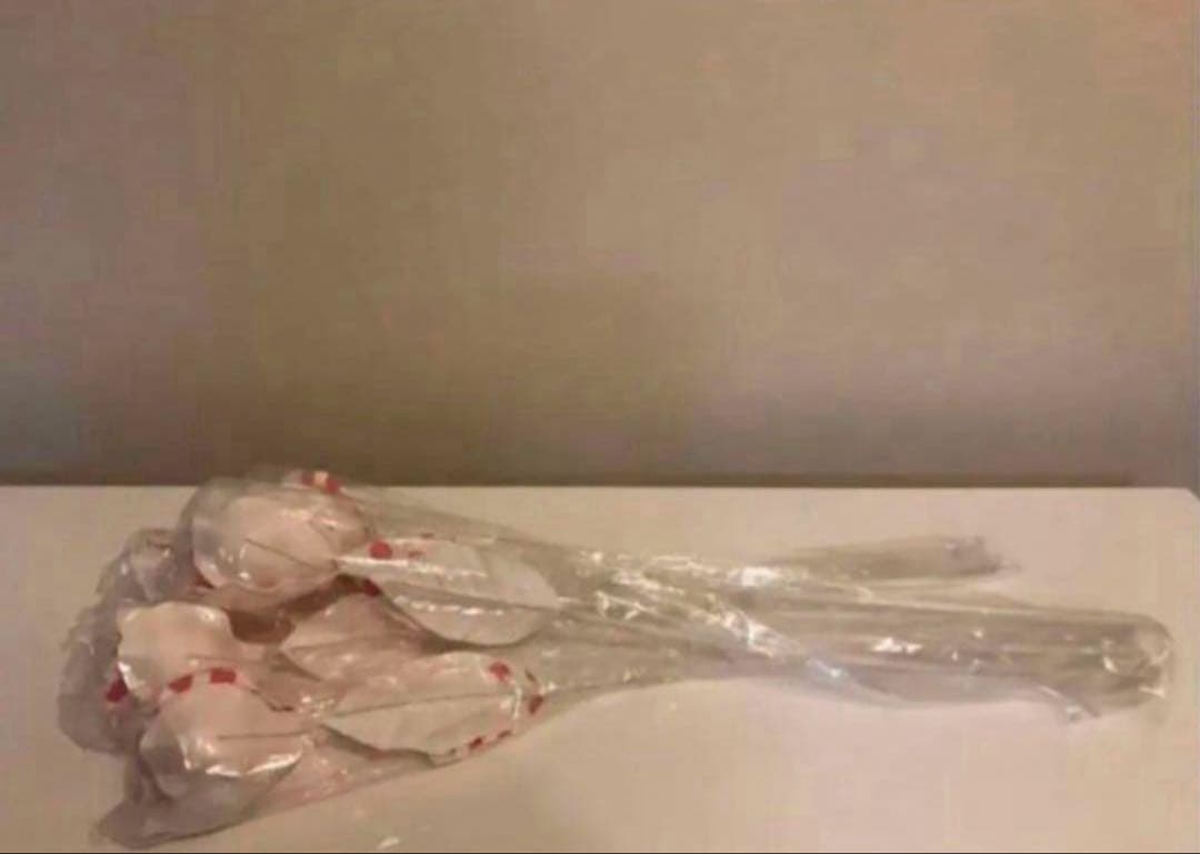 20点セット ❤︎ 新品 造花 HERVE GAMBS ＆ フランフラン