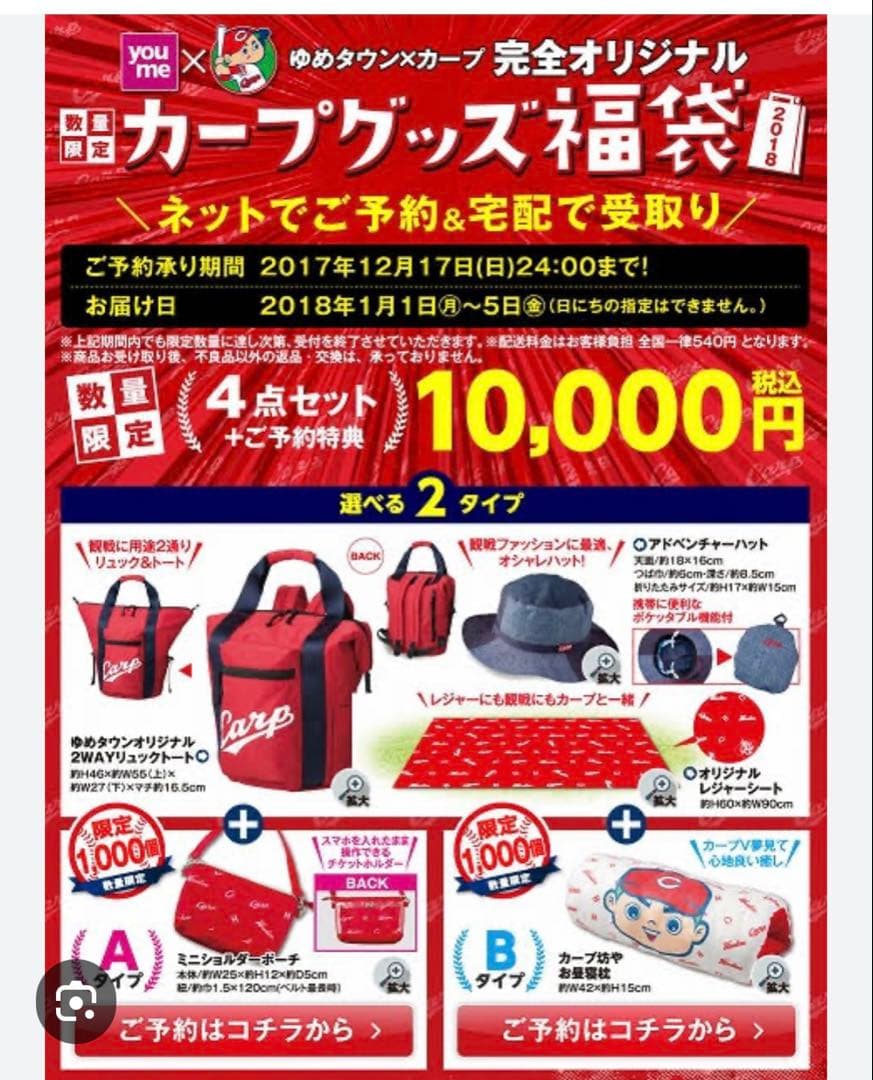 カープグッズ福袋 2018 広島東洋カープ　広島カープ　リュック　2ウェイ