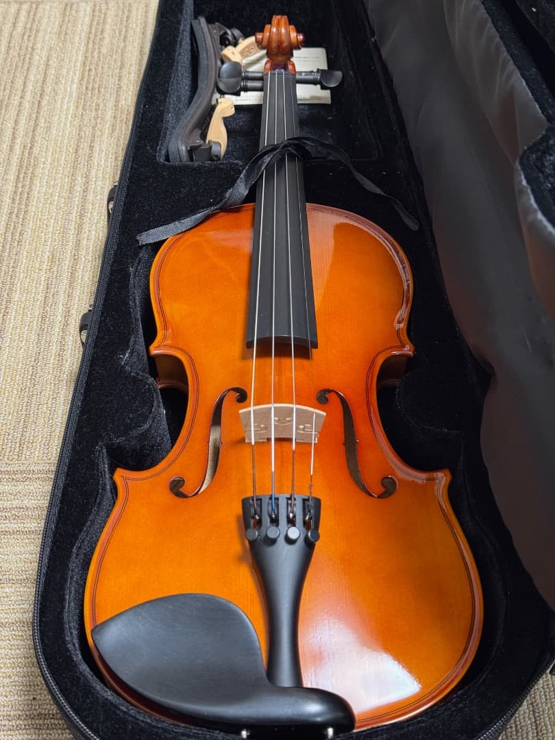 【美品】Carlo giordano VS-1 2024 3/4 バイオリン本体