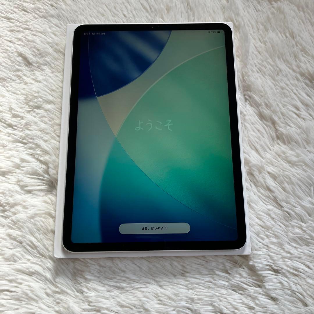 【早い者勝ち】iPad Pro 11インチ 第1世代 256GB 【すぐ発送】