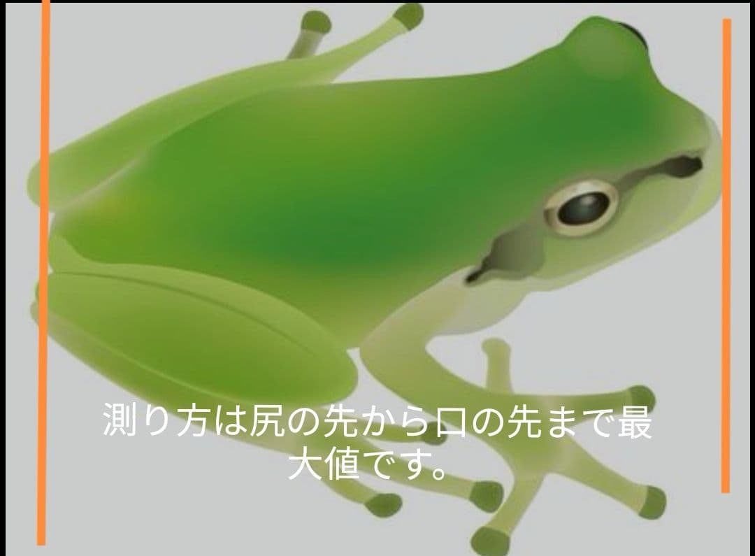 480匹【冷凍】SS 餌用カエル ヌマガエル 蛇の餌 アフリカツメガエルの代用