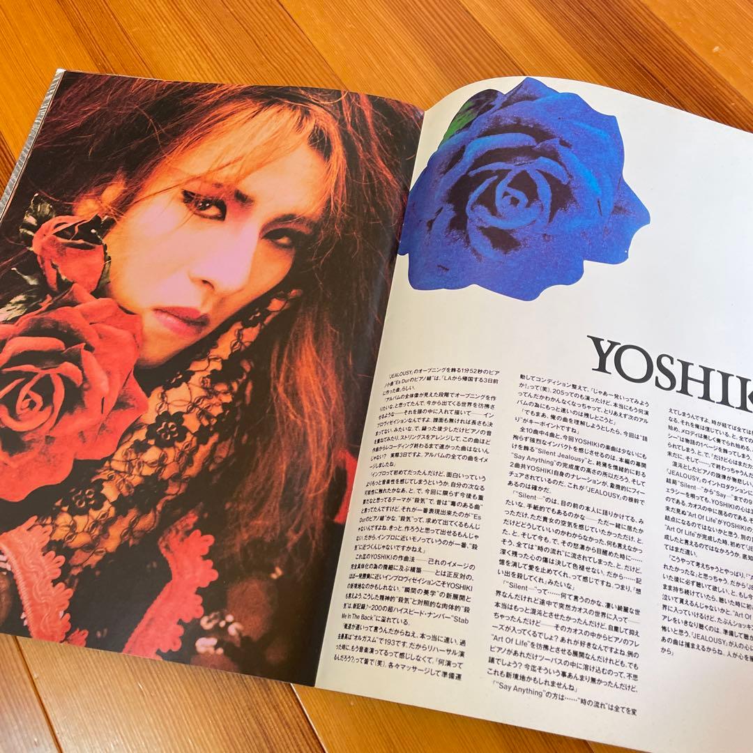 X エックス　VANISHING VISION 限定ピクチャー盤＋おまけ付き