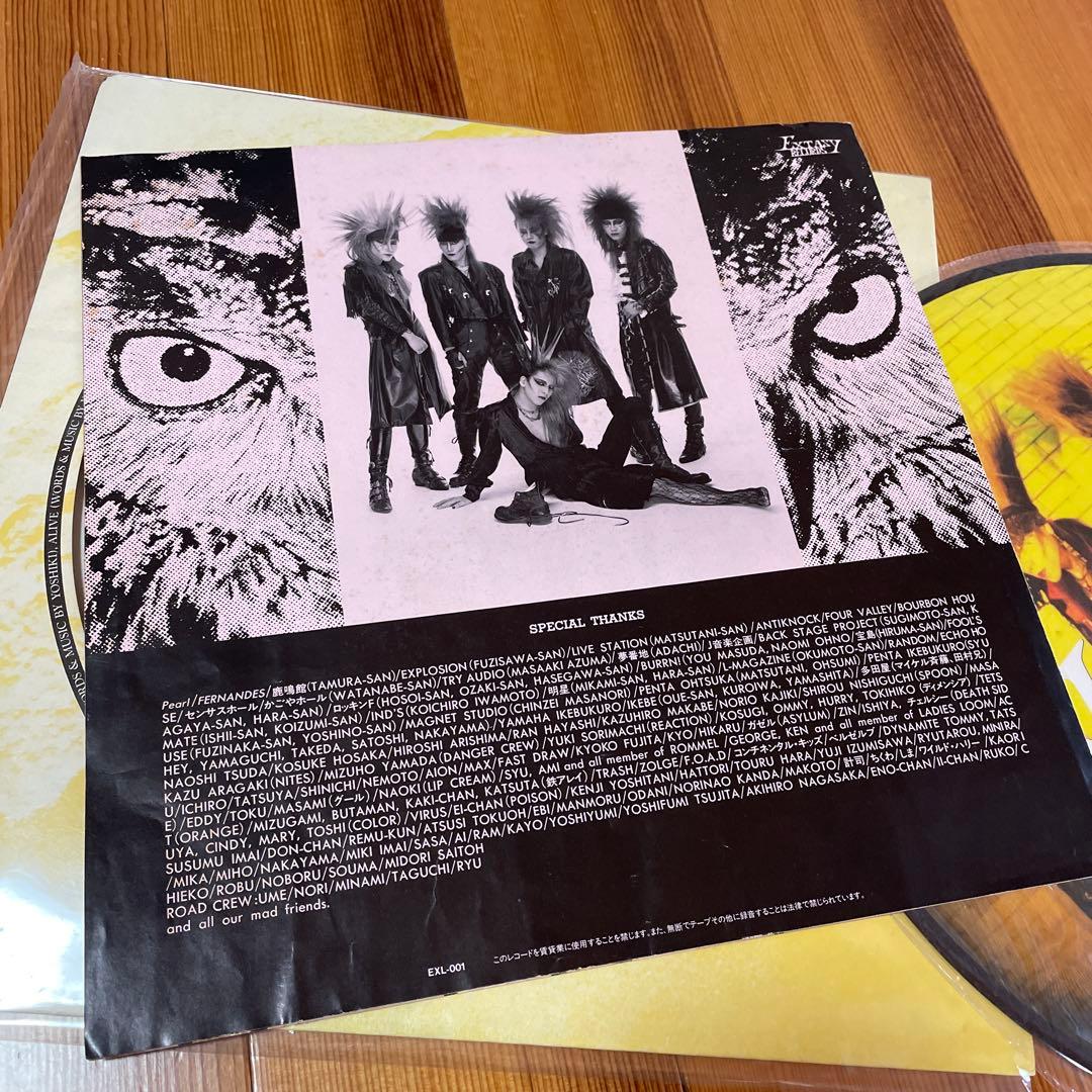 X エックス　VANISHING VISION 限定ピクチャー盤＋おまけ付き