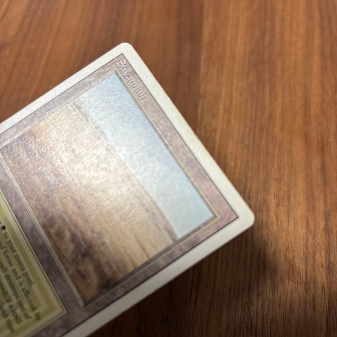 英語《Savannah》[3ED] リバイズド