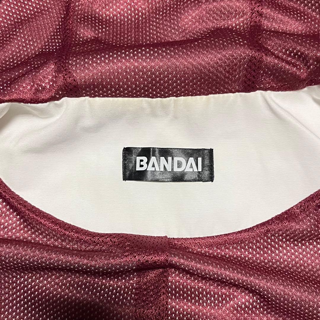 BANDAI 仮面ライダードライブ 仮面ライダーマッハ 詩島剛 ジャケット 希少