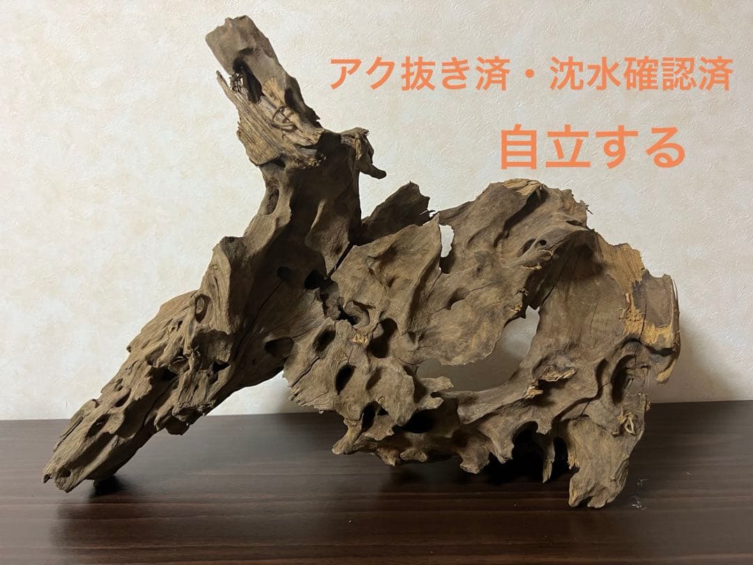 XM-198 流木　マシンガンウッド　アクアリウム　ブランチウッド　沈水確認済