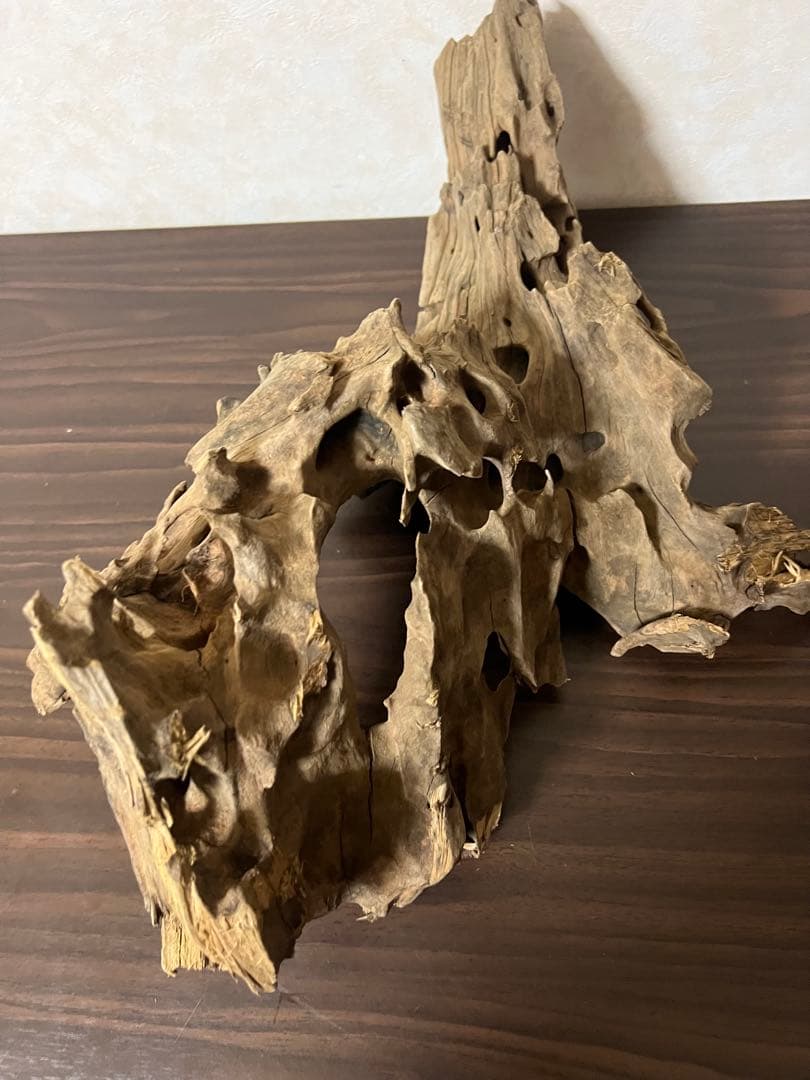 XM-198 流木　マシンガンウッド　アクアリウム　ブランチウッド　沈水確認済