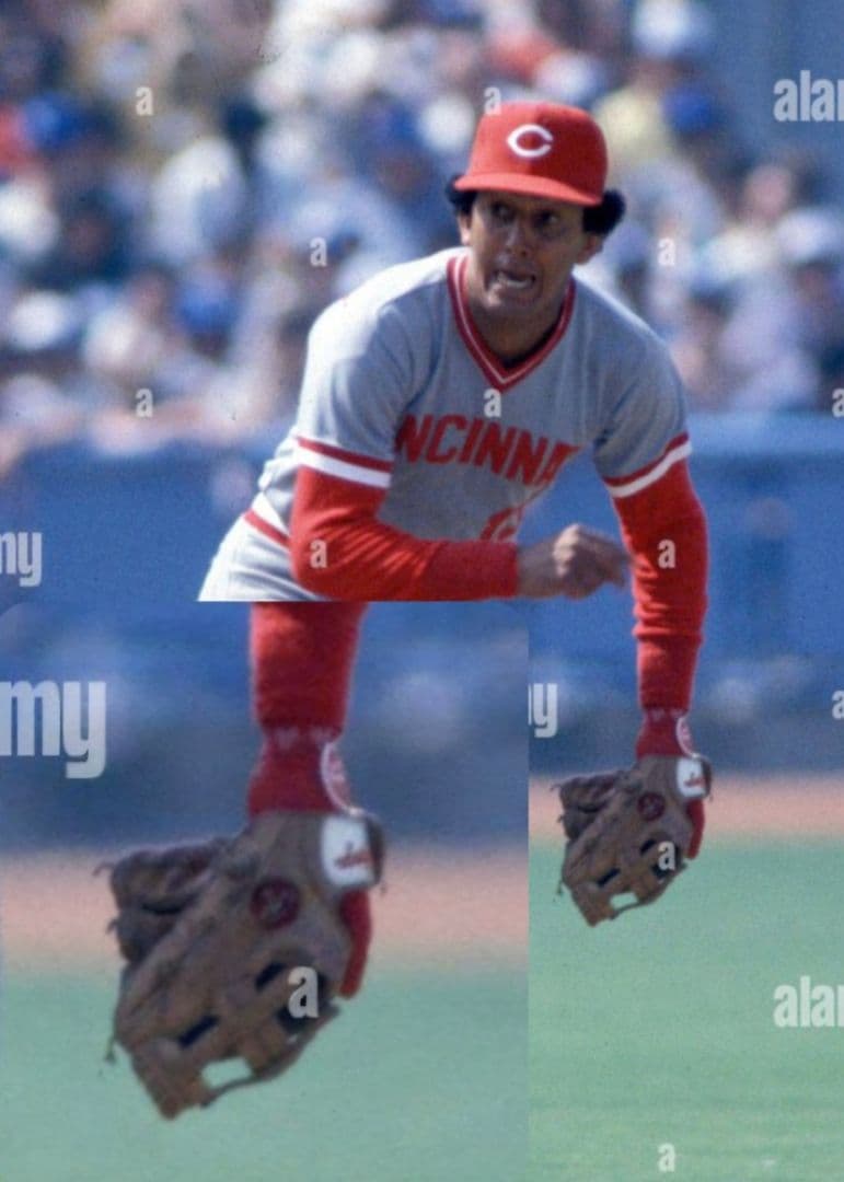 グローブ Rawlings Gold Glove Series type