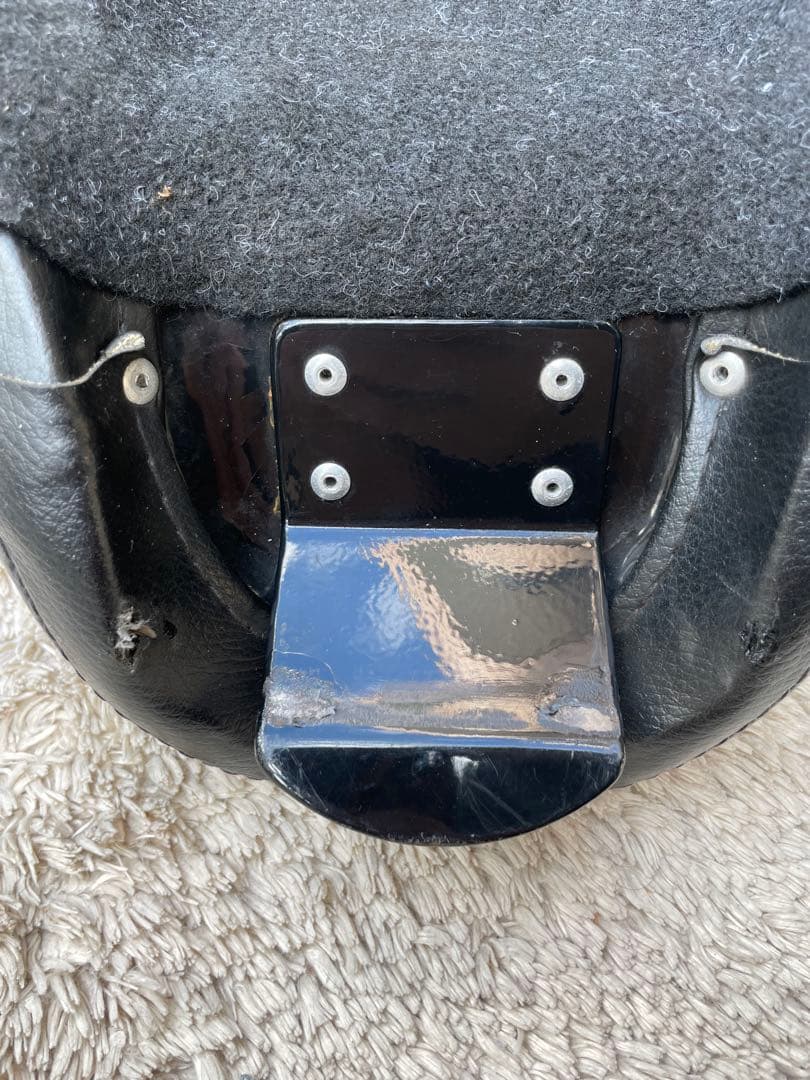 スポーツスター　イージーライダース