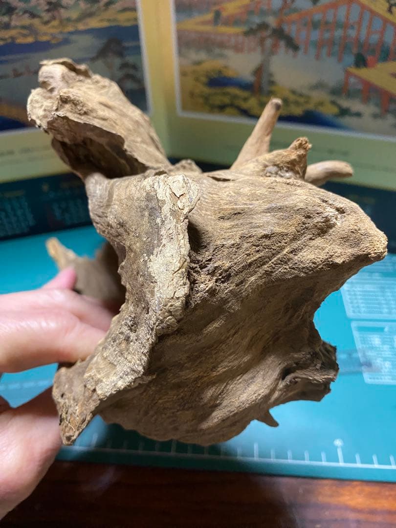 ベトナム産香木「泥沈香」原木266.8g 茶道具 六國五味伽羅聞香 香道具