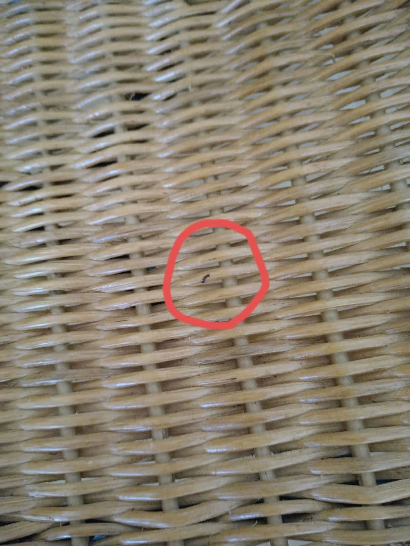 IDEE TATA チェア ラタン ダイニングチェア