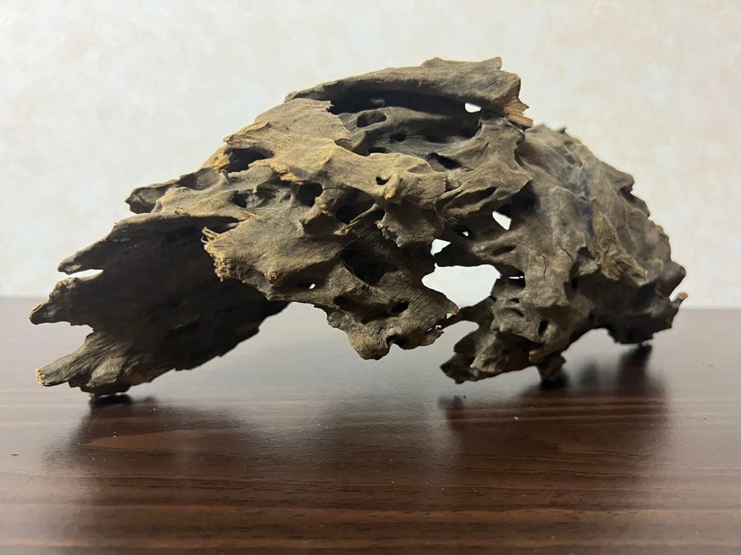 XM-367 ブランチウッド　流木　マシンガンウッド　アクアリウム　沈水確認済