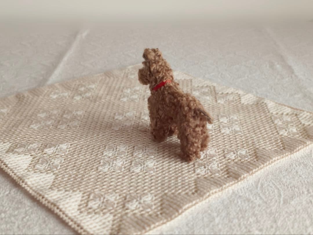 * vintage dog ❀ クルクル巻き毛がキュートな ワンちゃん