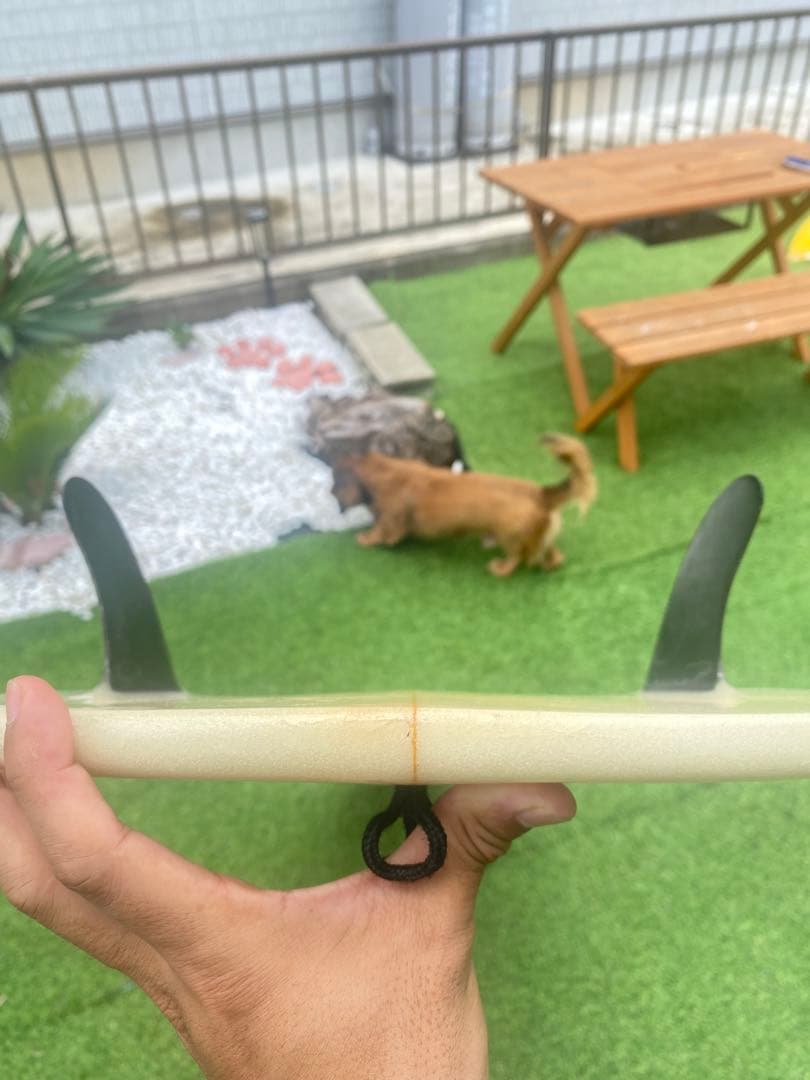 Tyler Warren/Thin mint/5'4”/タイラーウォーレン