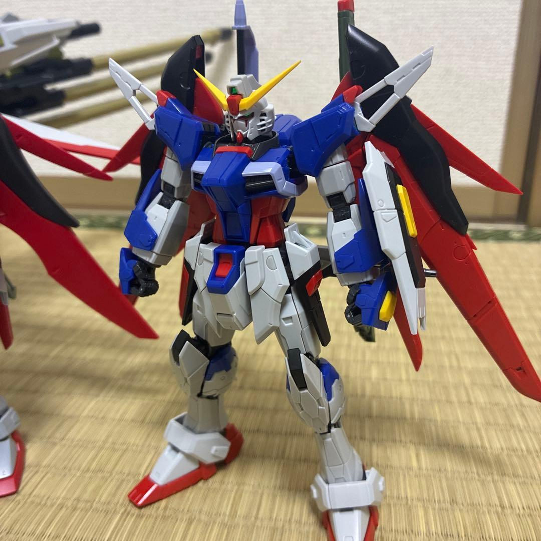 HG デスティニーゼウスシルエット　RG デスティニーガンダム　完成品ジャンク