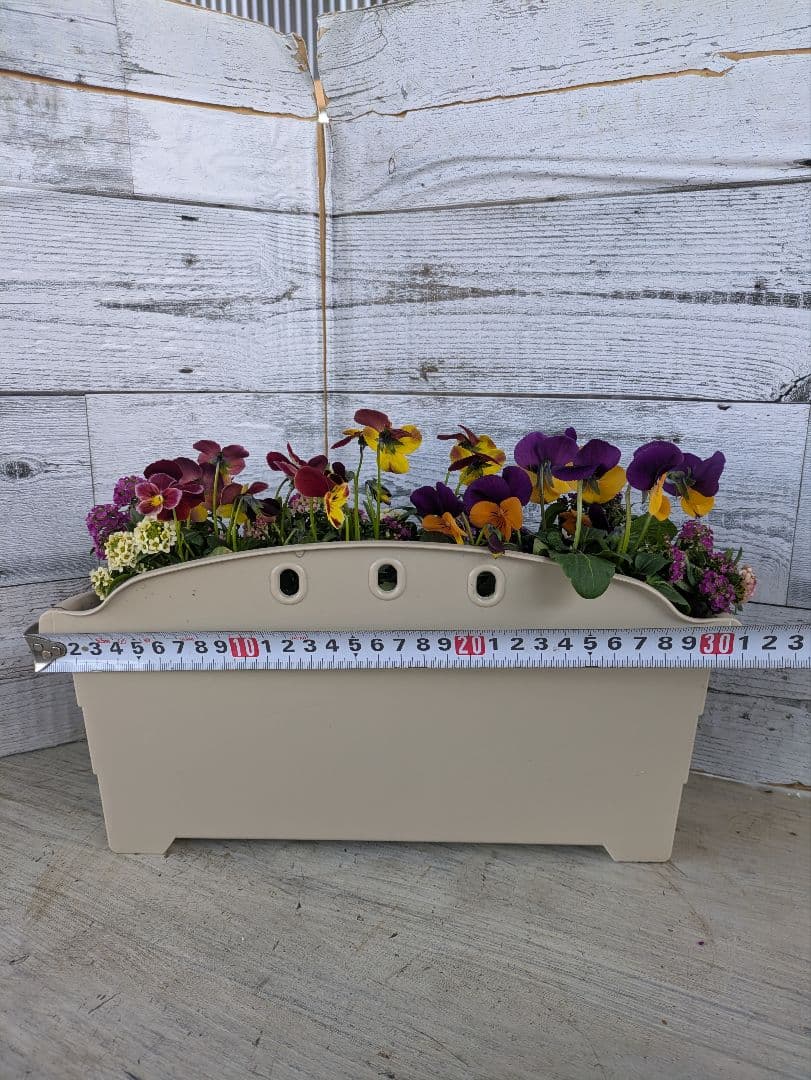 ローズガーデン【現品・鉢まま出荷】季節の寄せ植え3点＆ビオラのセット