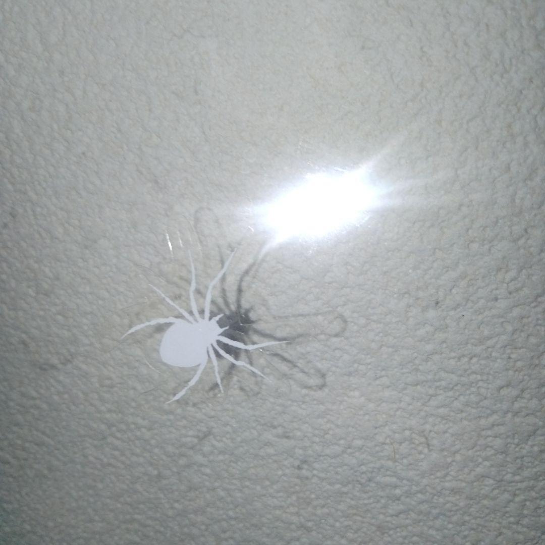 訳あり　pica ガラス温室