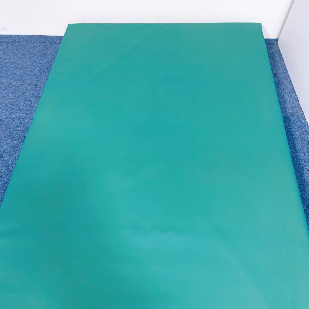 【送料込】molten ソフィアway 介護用マットレス リバーシブル 介護①