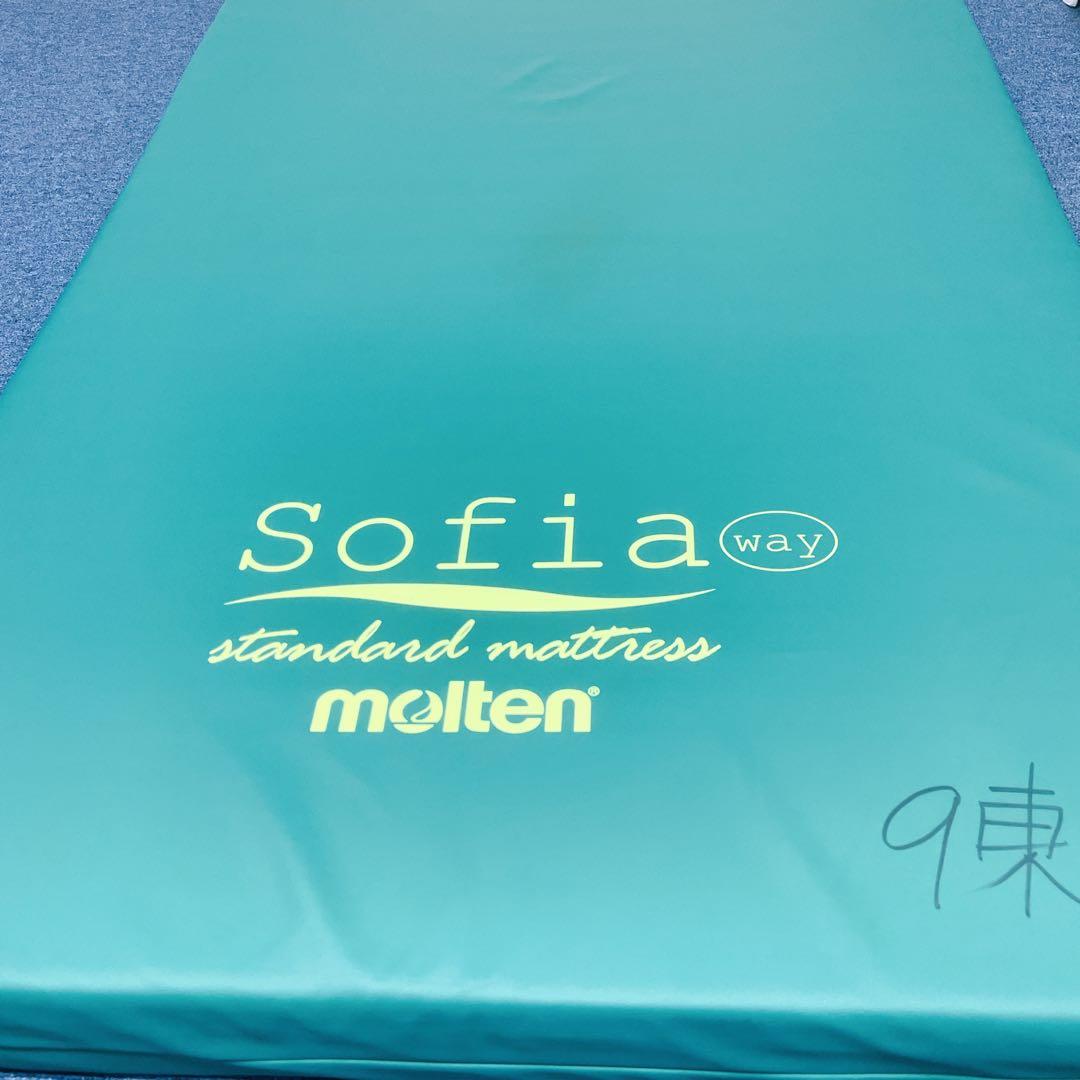 【送料込】molten ソフィアway 介護用マットレス リバーシブル 介護①