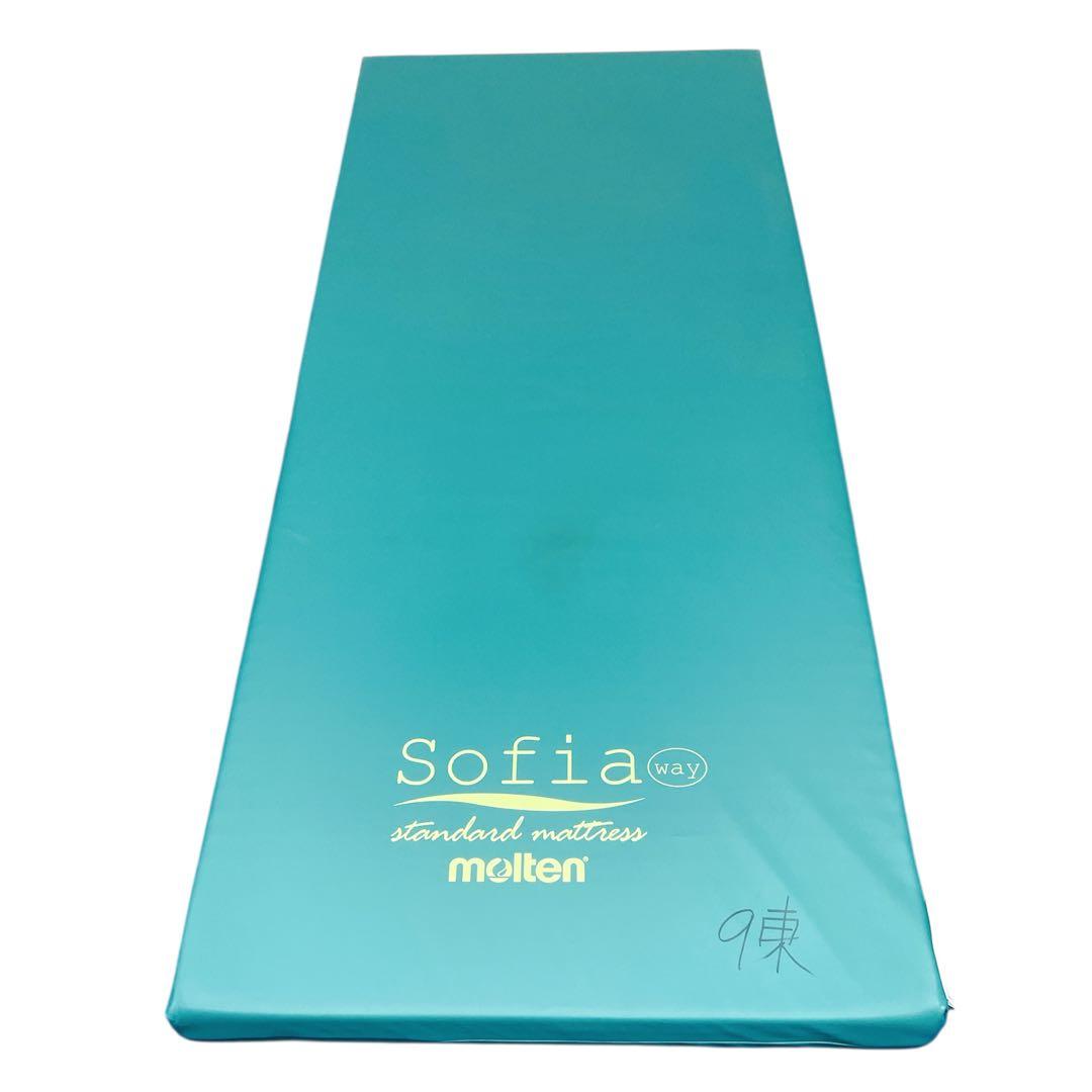 【送料込】molten ソフィアway 介護用マットレス リバーシブル 介護①