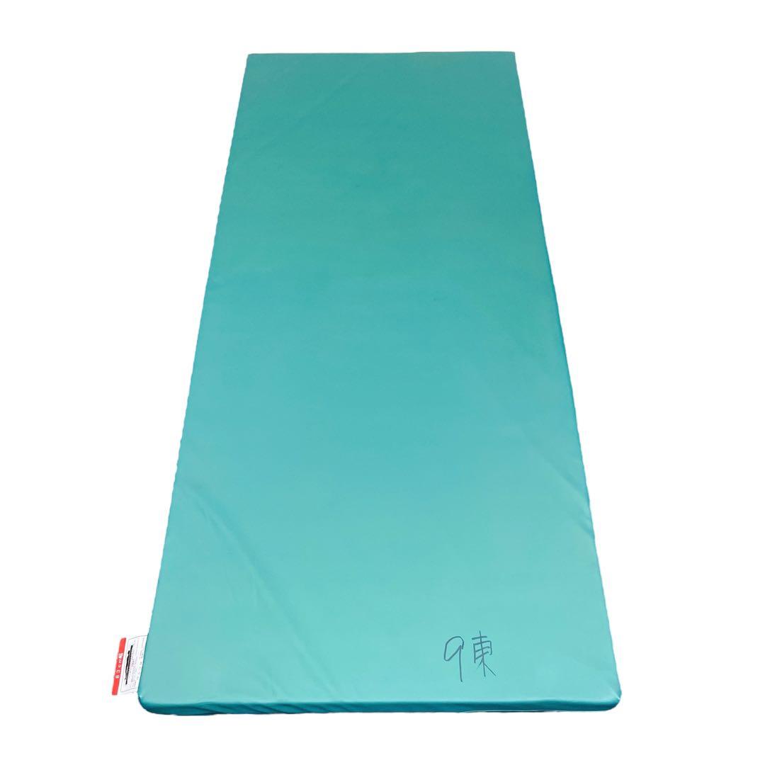 【送料込】molten ソフィアway 介護用マットレス リバーシブル 介護①