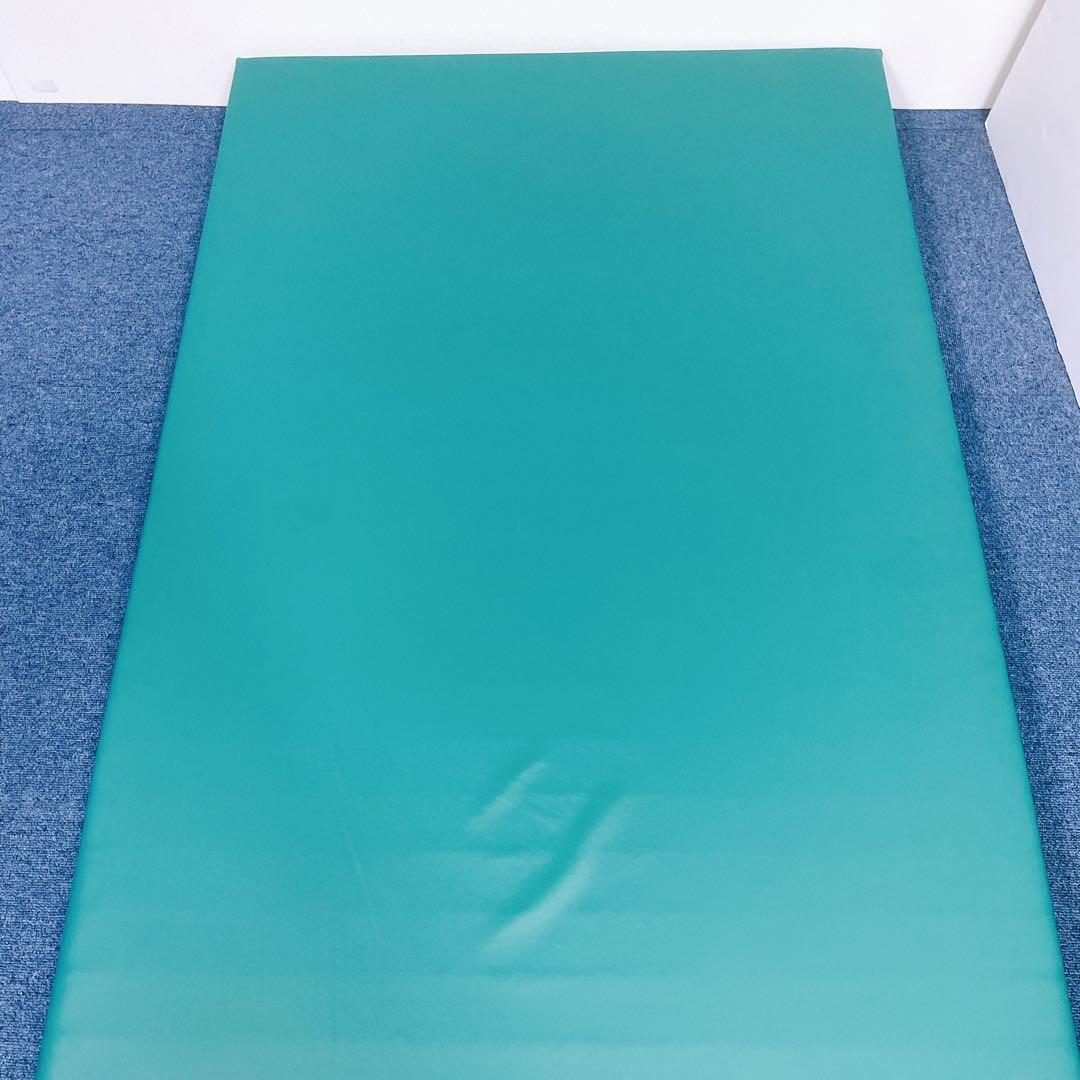 【送料込】molten ソフィアway 介護用マットレス リバーシブル 介護①