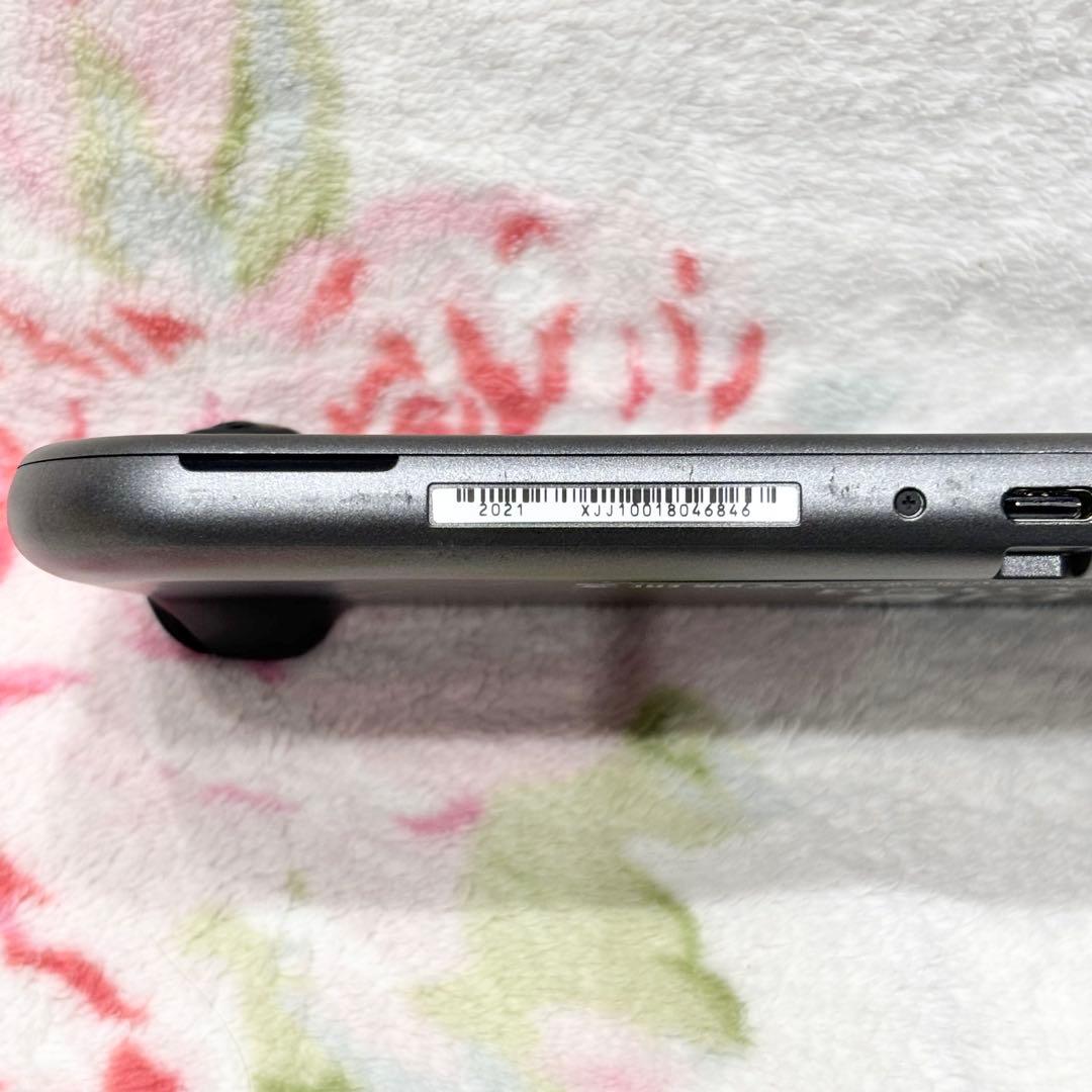 【ひーちゃん】Nintendo SwitchLite ディアルガ パルキア