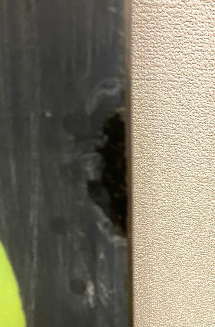 バートン インスティゲーター155